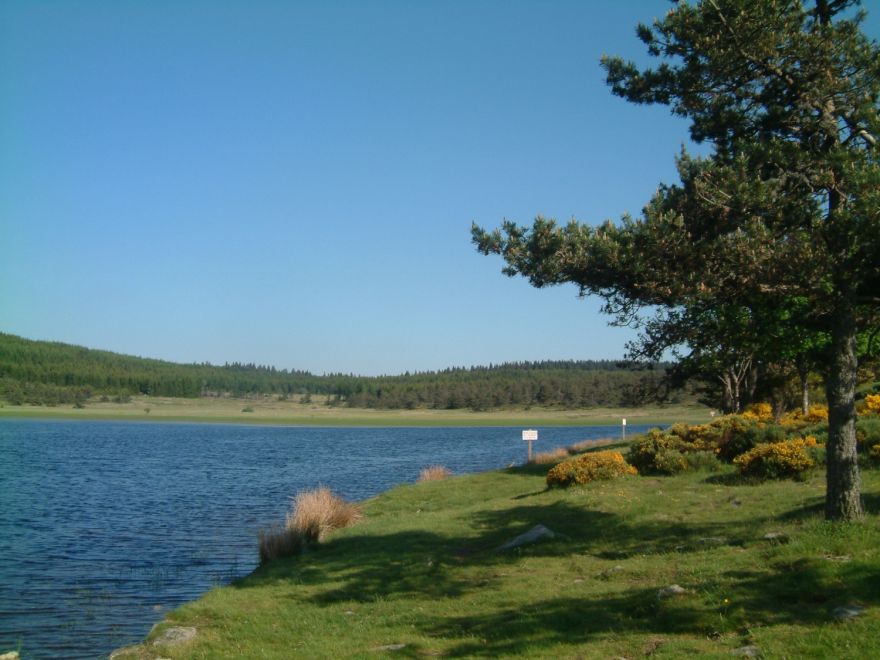 Etang de pêche de Barrandon