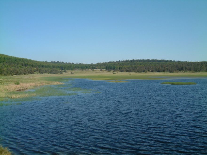 Etang de Barrandon en juin