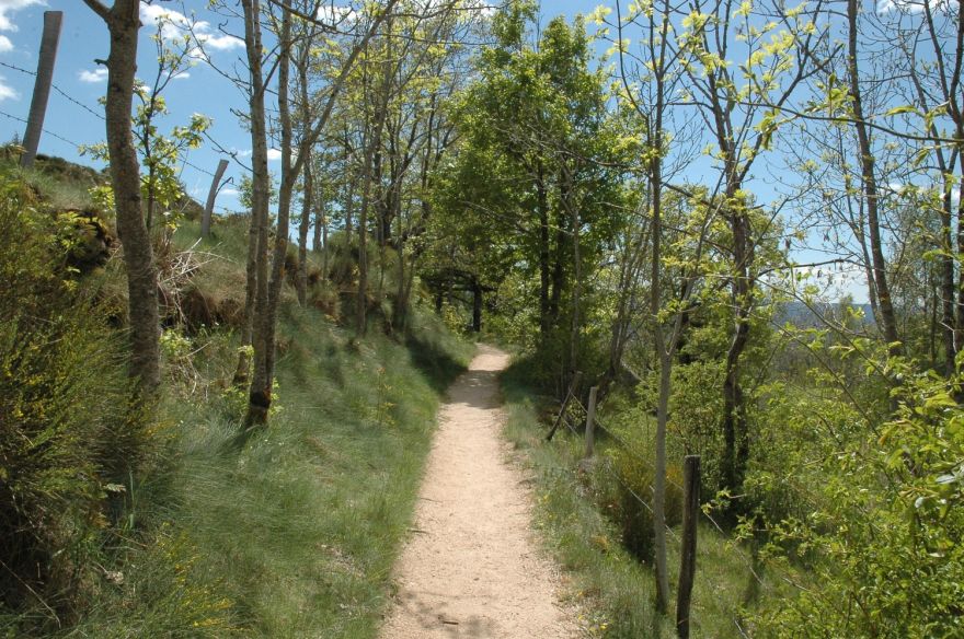 Chemin vers le haut de la cascade de Runes